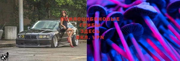 2c-b Алзамай