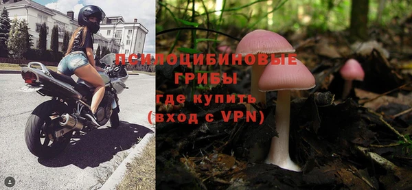 дживик Лабытнанги